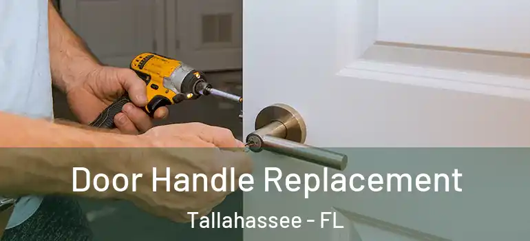  Door Handle Replacement Tallahassee - FL