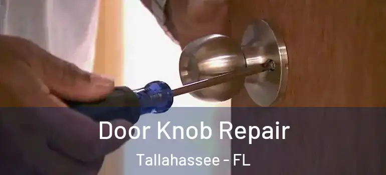  Door Knob Repair Tallahassee - FL