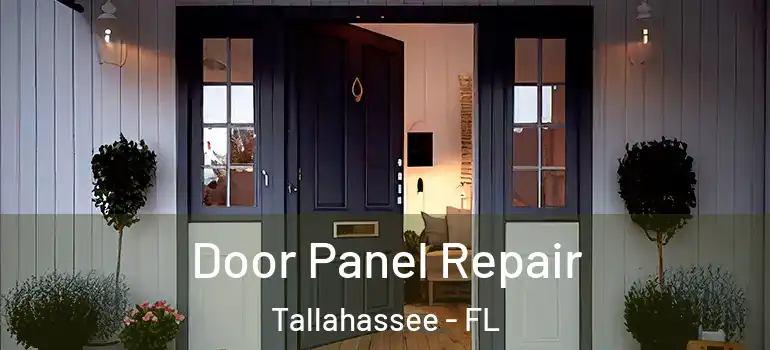  Door Panel Repair Tallahassee - FL