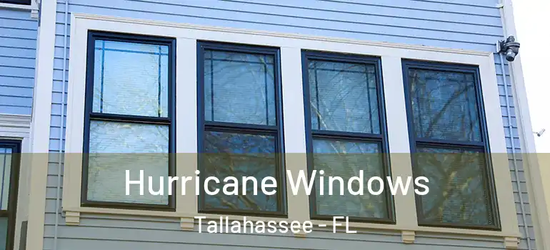  Hurricane Windows Tallahassee - FL