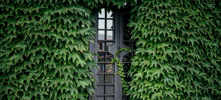 Garden Gate Repair in Tallahassee, FL
