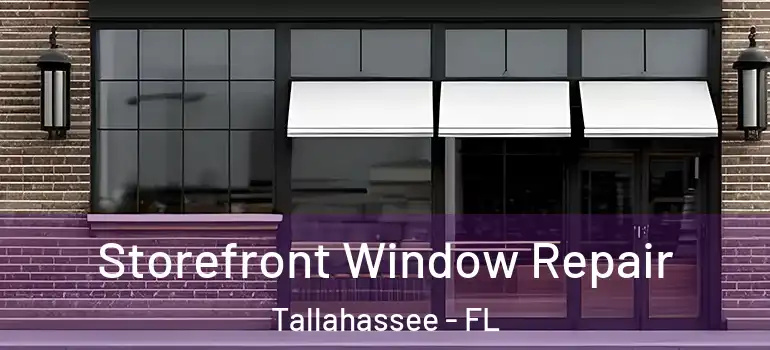  Storefront Window Repair Tallahassee - FL