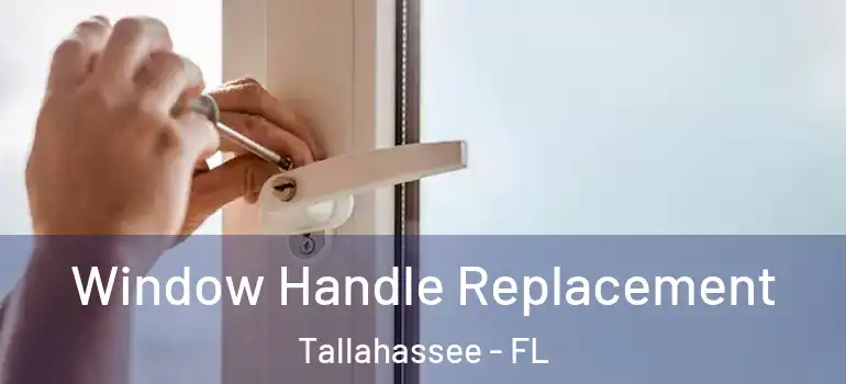  Window Handle Replacement Tallahassee - FL